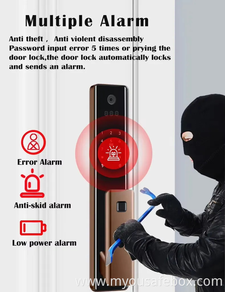 Lock Manufacturer WiFi Digital Card Security Safe Electronic Fingerprint Remote Control Smart Door Lock with Camera and Audio